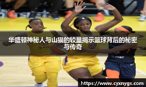 MYBALL迈博